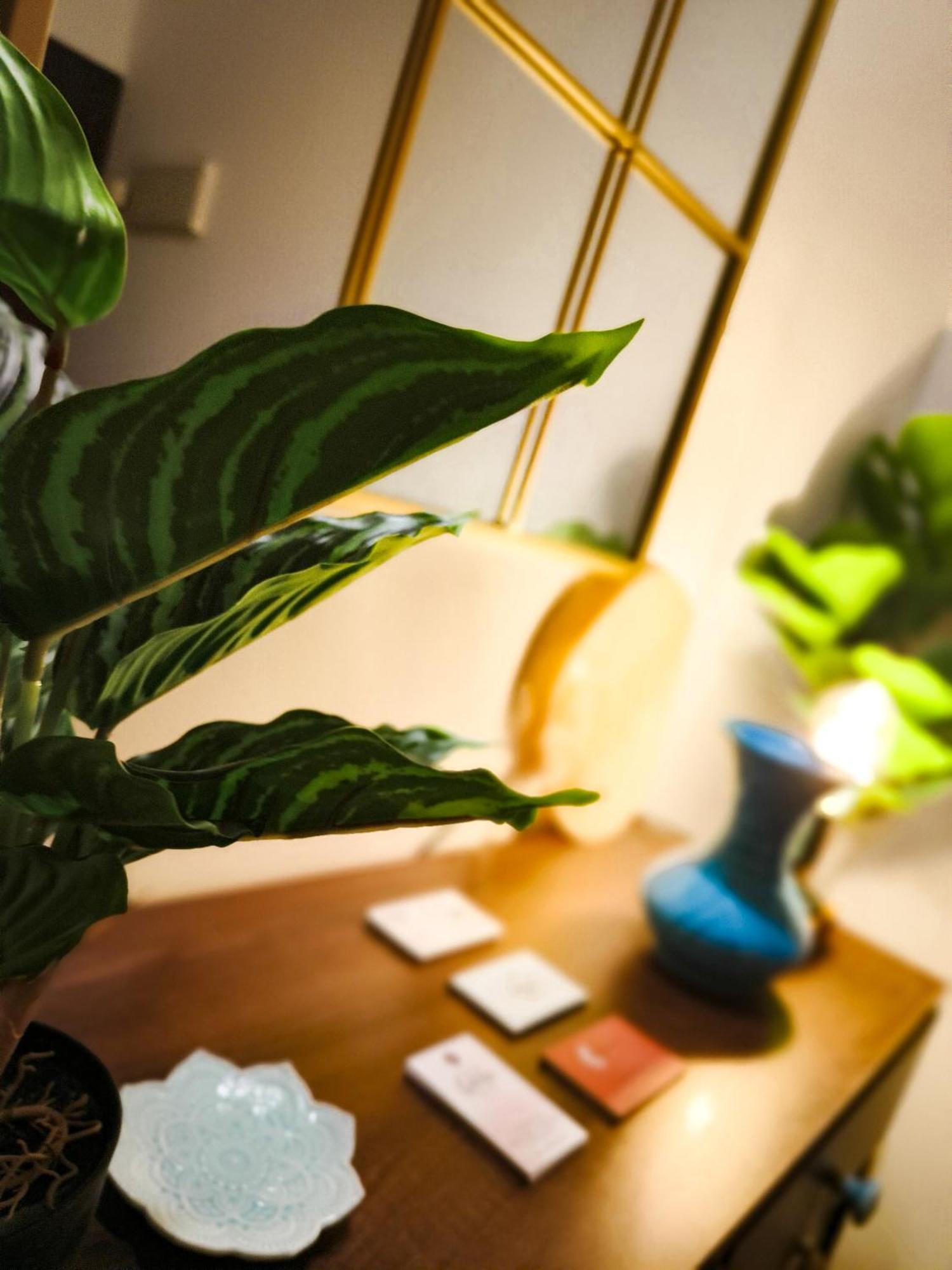Atico Puerto Secreto - Apartamento Loft 贝赫尔-德拉弗龙特拉 外观 照片